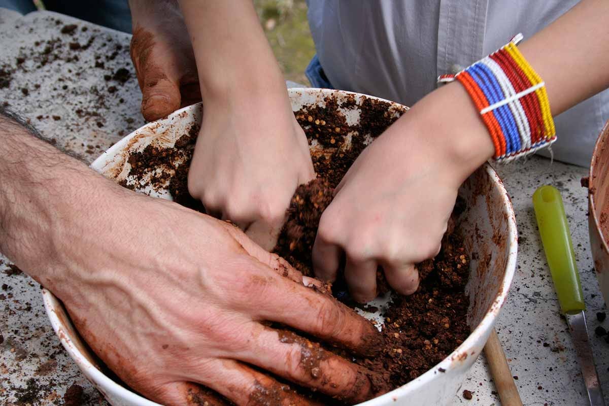 laboratori di compostaggio 